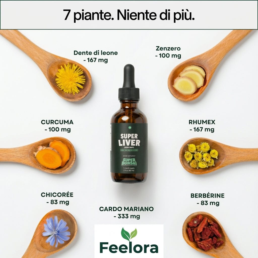 Super Liver – Supporto per Fegato e Intestino