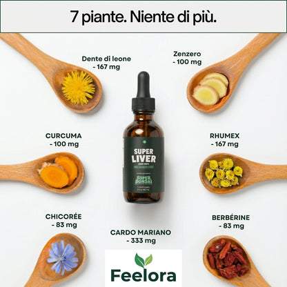 Super Liver – Supporto per Fegato e Intestino