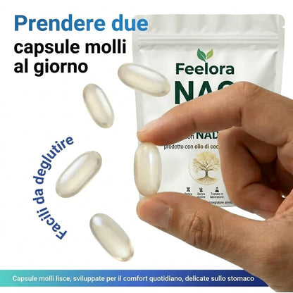 NAC600 & NAD Complesso Quotidiano