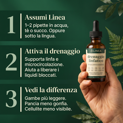 Linea - Drenante linfatico